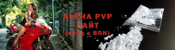 индика Горняк