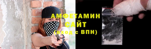 индика Горняк