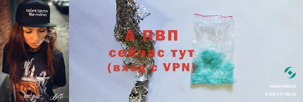 мдпв Вязьма