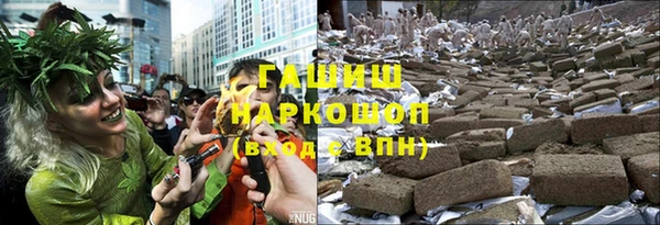 сатива Горно-Алтайск