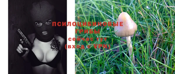 героин Вяземский