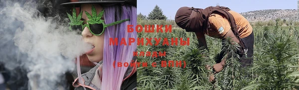 мдпв Вязьма