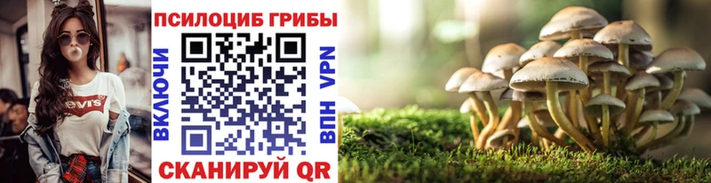 Псилоцибиновые грибы MAGIC MUSHROOMS  Купить где  Таштагол 